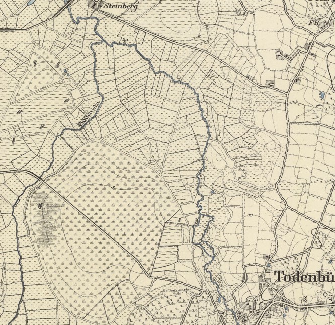 Das Beringstedter Moor 1877 alte Karte