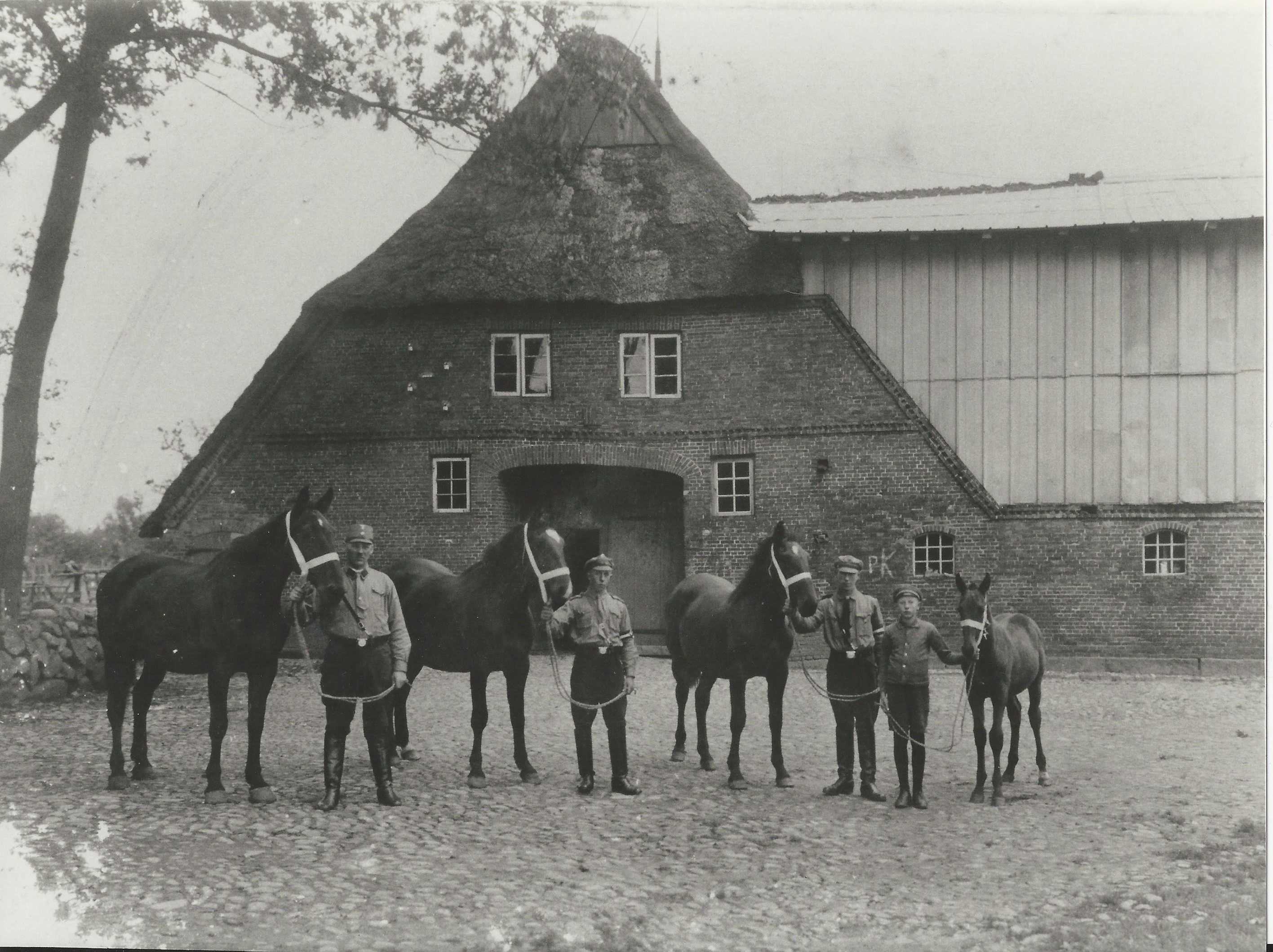 Hof Breiholz mit Pferden für website