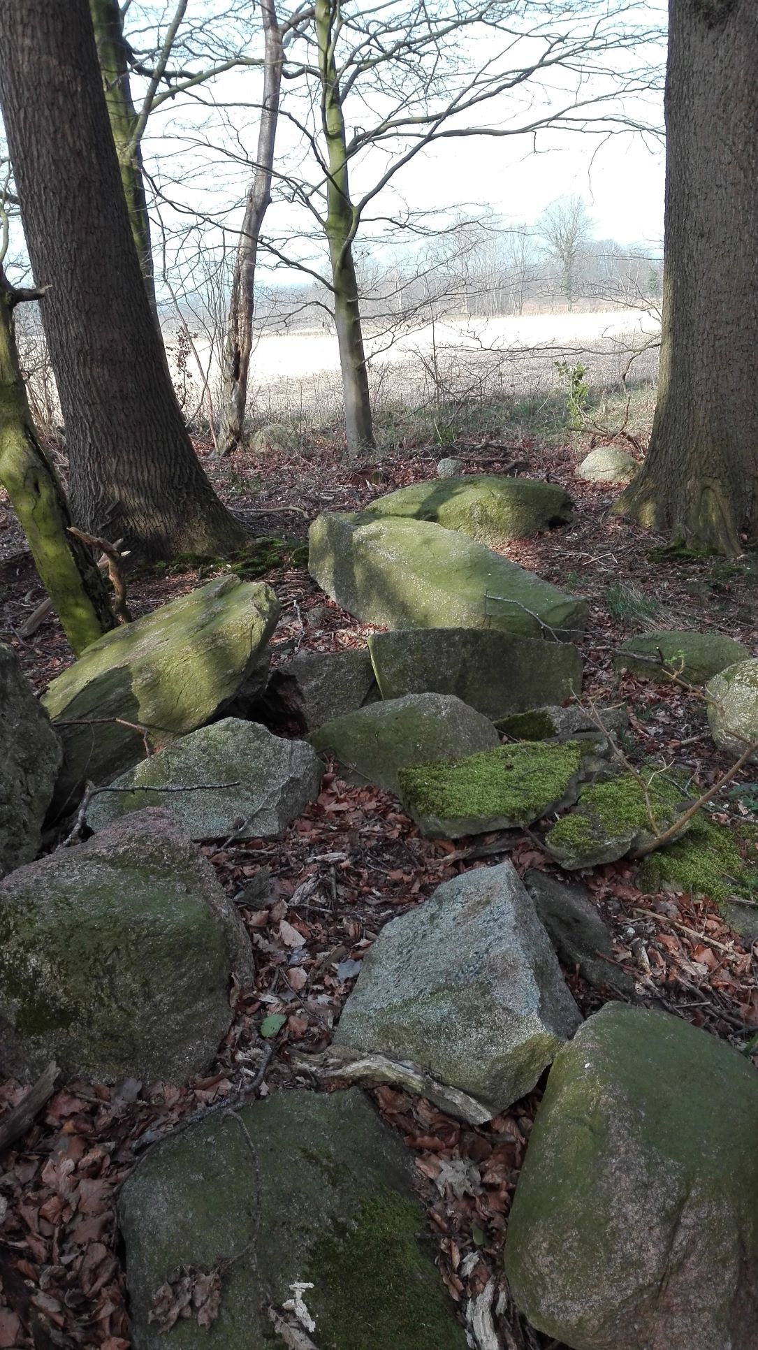 Steine in Martens Wald 1 für website