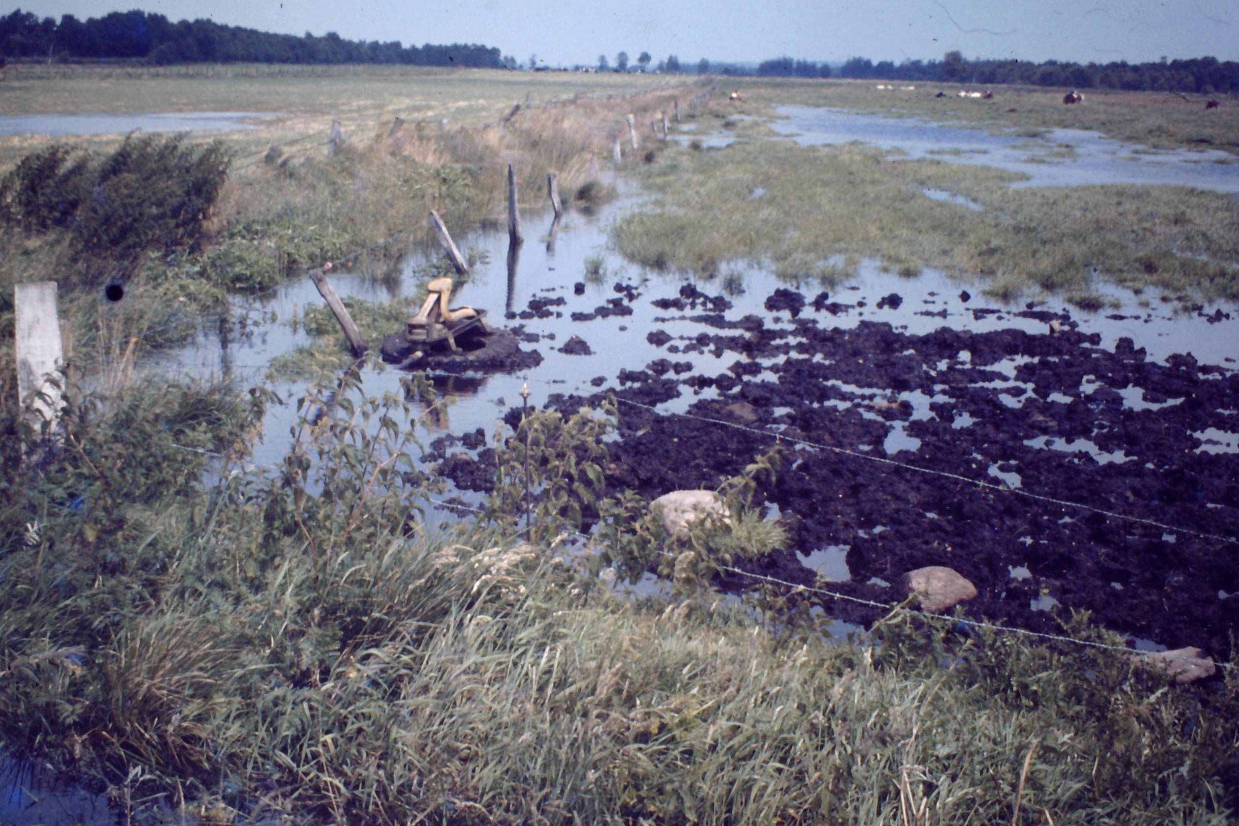Wasser im Moor 1980