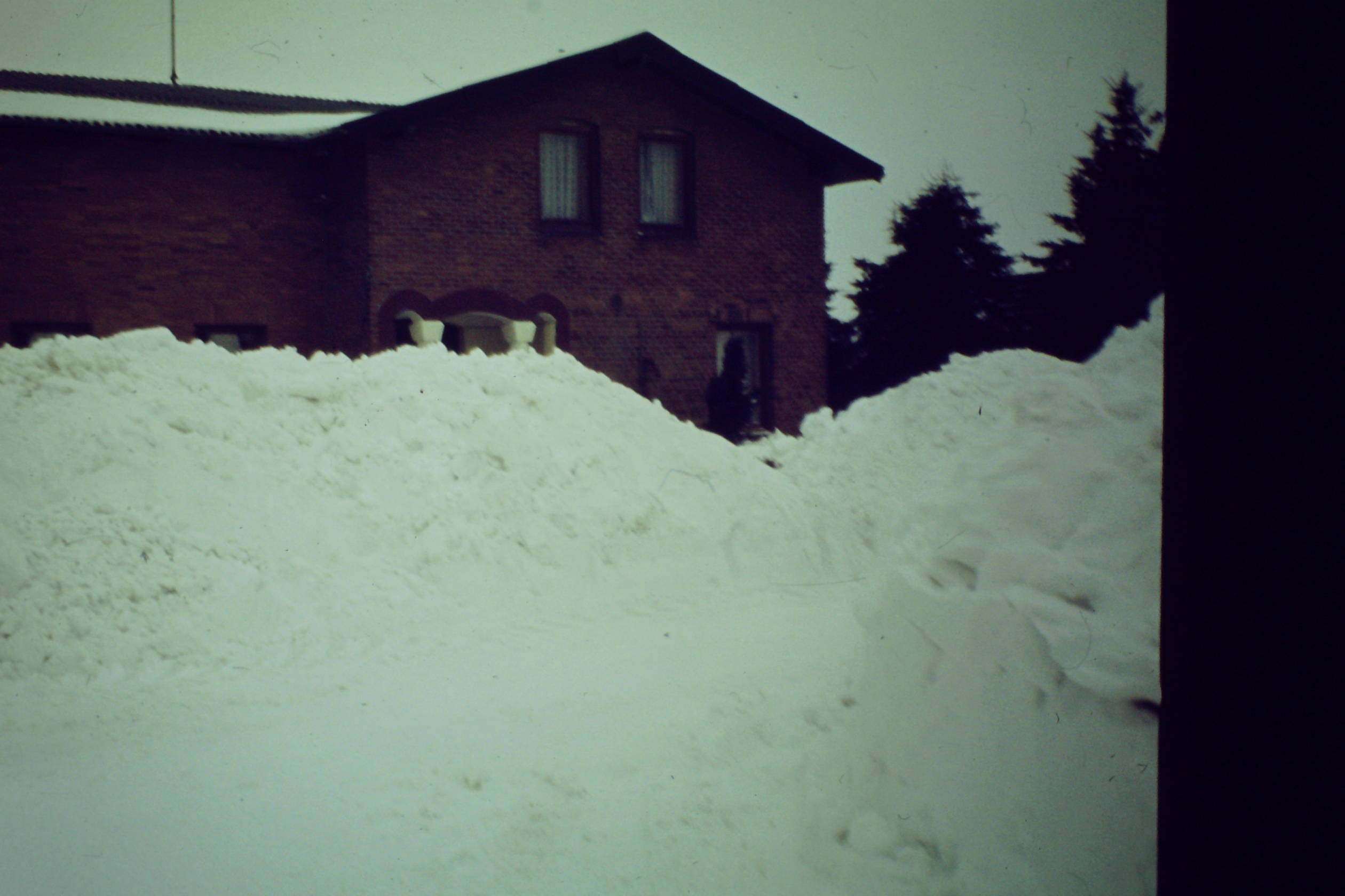 Schnee1979f