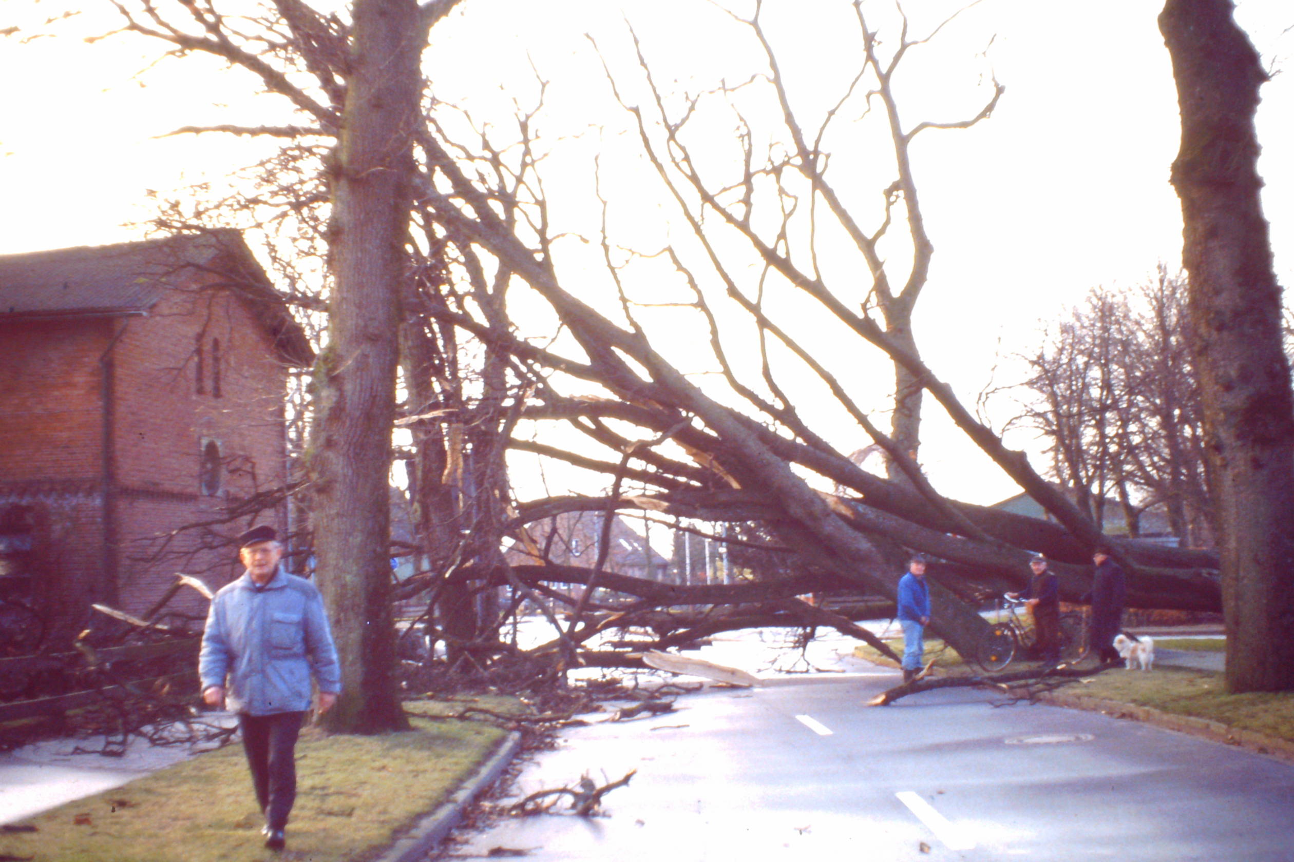 Sturmschaden 1993 